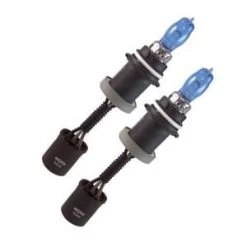 CIPA EVO Formance Alfas Maximum Intensity Halogen Bulbs