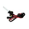 Oracle Lighting HID Bulbs 1 Oracle Lighting HID Bulbs -Auto Parts Store oraclelighting 0001 011 1