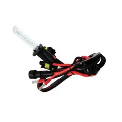 Oracle Lighting HID Bulbs